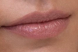 Static Kiss Proof Lip Color Extra Long Lasting Kosher For Passover/ Pesach KFP