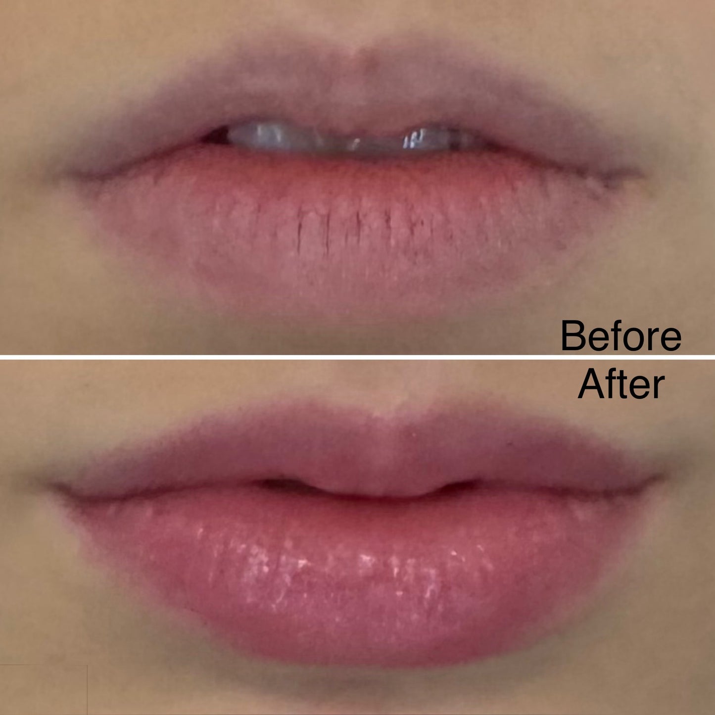 Rose Lip Balm, Sweet Brier